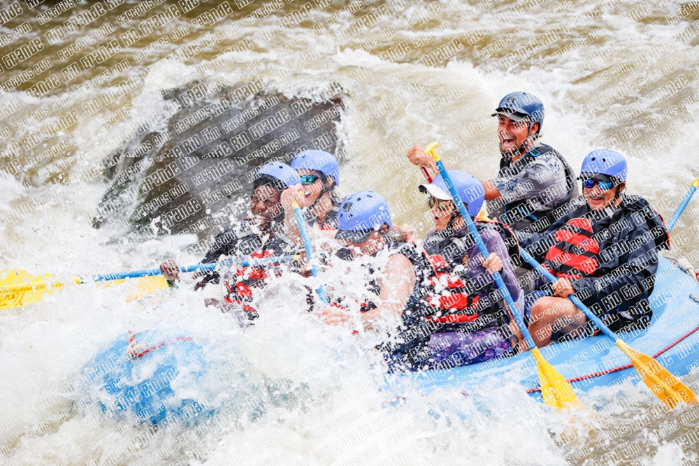 000242June-21_NEW-WAVE_RAFT-Pics_Racecourse-AM_TC__MG_0109