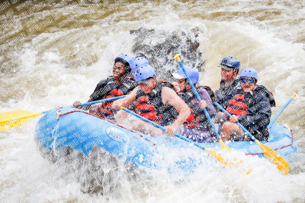 000244June-21_NEW-WAVE_RAFT-Pics_Racecourse-AM_TC__MG_0111