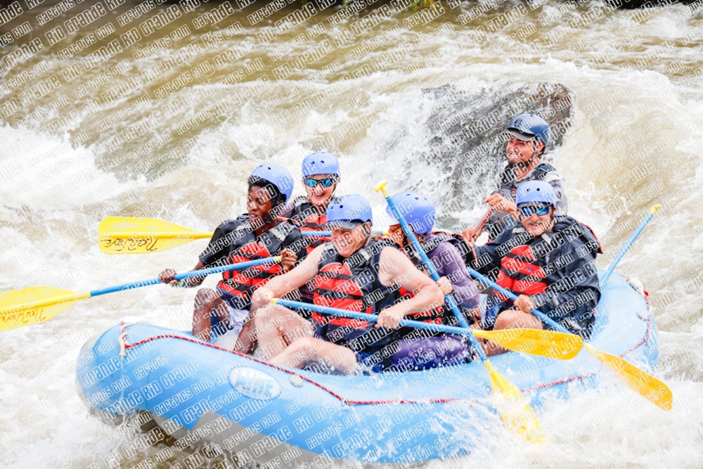 000246June-21_NEW-WAVE_RAFT-Pics_Racecourse-AM_TC__MG_0113