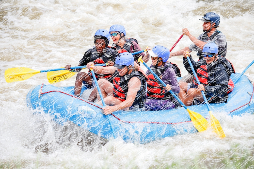 000248June-21_NEW-WAVE_RAFT-Pics_Racecourse-AM_TC__MG_0115