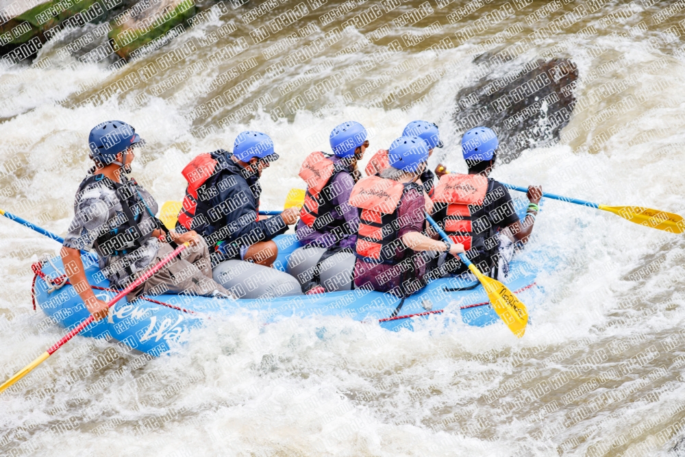 000266June-21_NEW-WAVE_RAFT-Pics_Racecourse-AM_TC__MG_0133