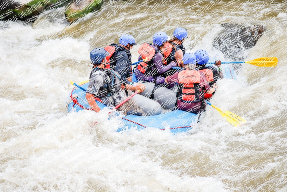 000269June-21_NEW-WAVE_RAFT-Pics_Racecourse-AM_TC__MG_0136