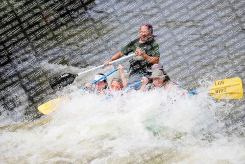 004021_RaftPics_Los-Rios_Racecourse__PM_TC_Shay_MG_1374