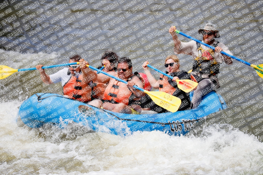 004002_RaftPics_Los-Rios_Racecourse_TC_Wade_MG_1517