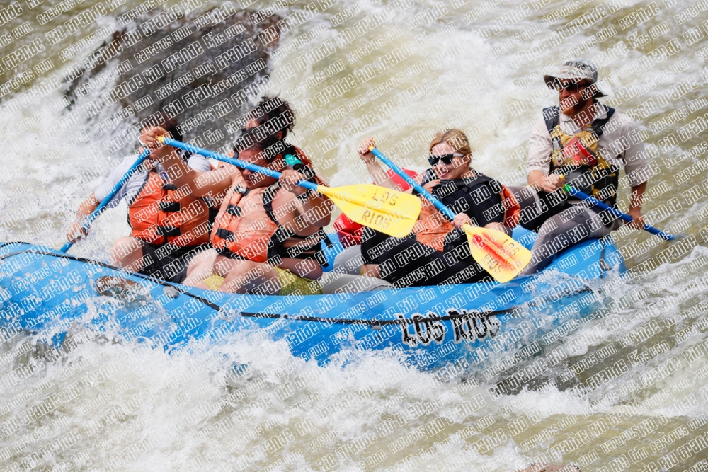 004012_RaftPics_Los-Rios_Racecourse_TC_Wade_MG_1527