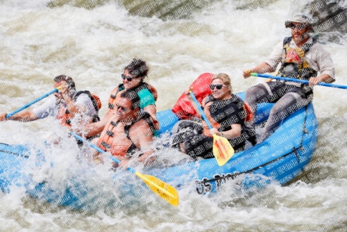 004017RaftPics_Los-Rios_Racecourse_TC_Wade_MG_1532