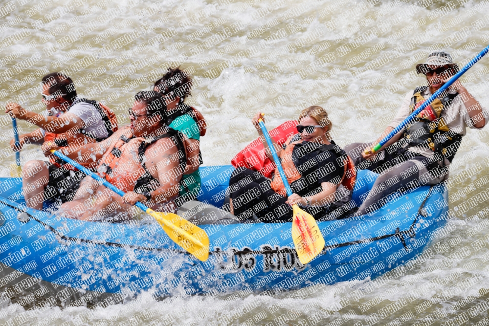 004019_RaftPics_Los-Rios_Racecourse_TC_Wade_MG_1534