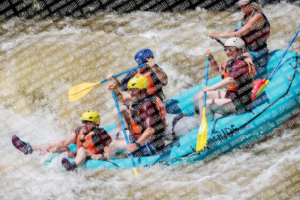 004288_RaftPics_Los-Rios_Racecourse_PM_TC_Leslie_MG_2175