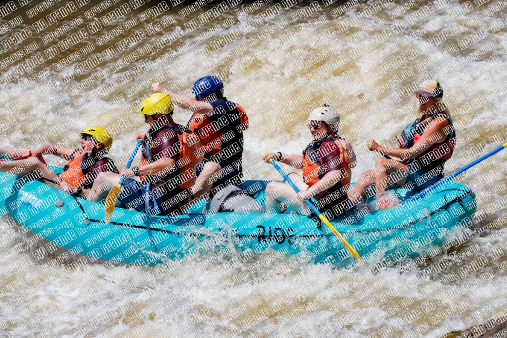 004291_RaftPics_Los-Rios_Racecourse_PM_TC_Leslie_MG_2178