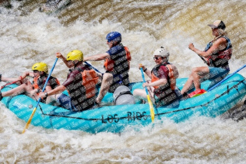 004293_RaftPics_Los-Rios_Racecourse_PM_TC_Leslie_MG_2180