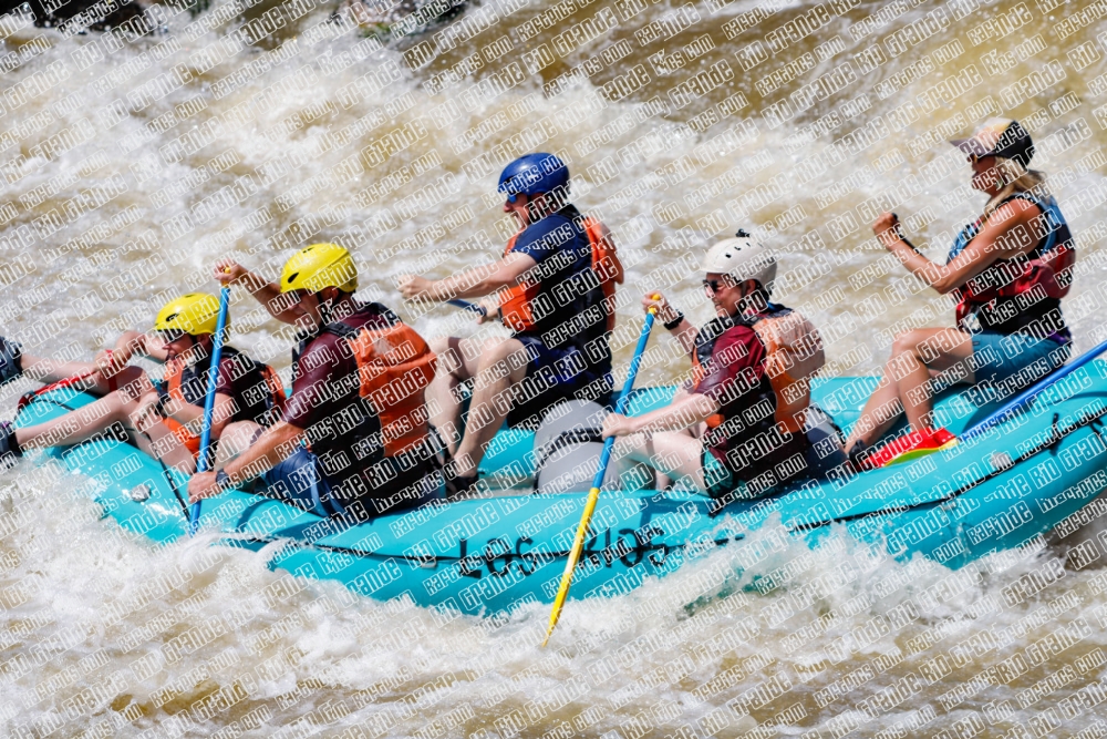 004294_RaftPics_Los-Rios_Racecourse_PM_TC_Leslie_MG_2181