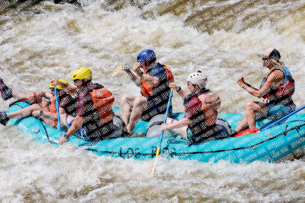 004295_RaftPics_Los-Rios_Racecourse_PM_TC_Leslie_MG_2182