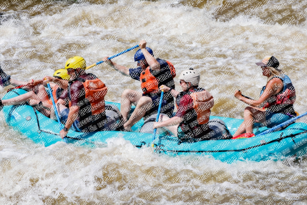 004296_RaftPics_Los-Rios_Racecourse_PM_TC_Leslie_MG_2183