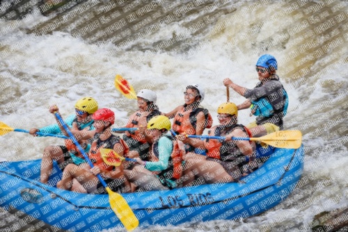 004725_RaftPics_June26_Los-Rios_Racecourse_TC_Abe_MG_2943