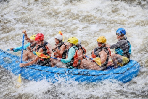 004728_RaftPics_June26_Los-Rios_Racecourse_TC_Abe_MG_2946