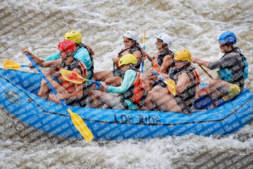 004730_RaftPics_June26_Los-Rios_Racecourse_TC_Abe_MG_2948