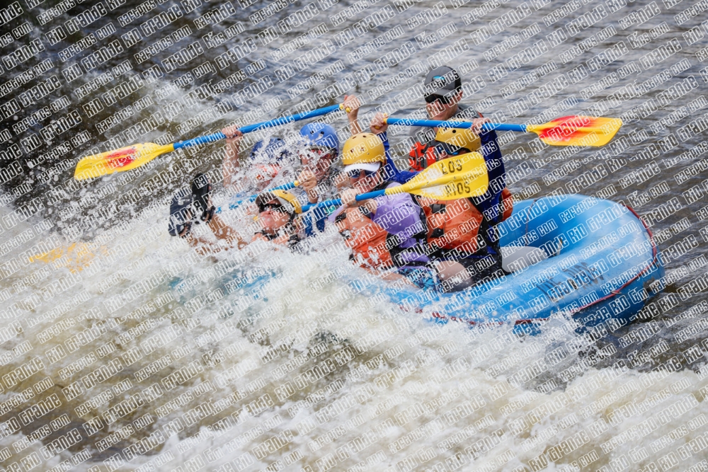 004754_RaftPics_June26_Los-Rios_Racecourse_TC_Bridger_MG_2977