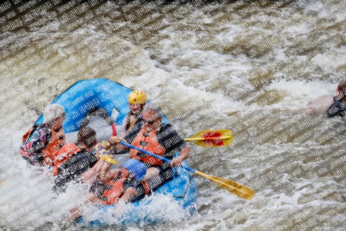 004790_RaftPics_June26_Los-Rios_Racecourse_TC_Jackson_MG_2877