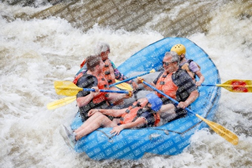 004792_RaftPics_June26_Los-Rios_Racecourse_TC_Jackson_MG_2879