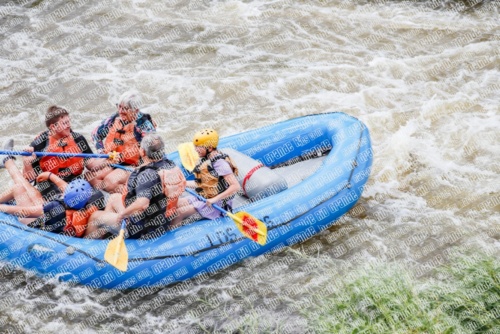 004795_RaftPics_June26_Los-Rios_Racecourse_TC_Jackson_MG_2882