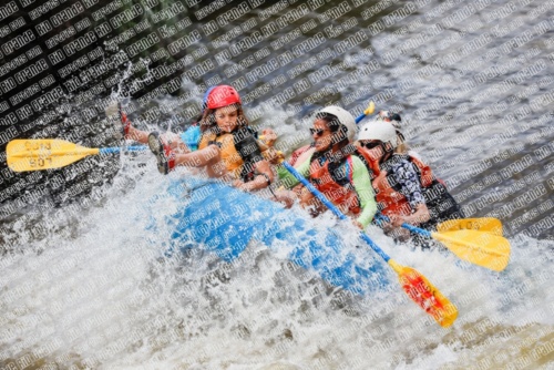 004799_RaftPics_June26_Los-Rios_Racecourse_TC_Leslie_MG_2886