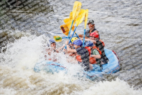 004821_RaftPics_June26_Los-Rios_Racecourse_TC_Michael_MG_3028