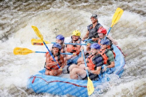 004830_RaftPics_June26_Los-Rios_Racecourse_TC_Michael_MG_3037