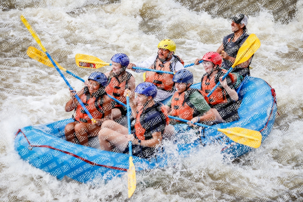 004834_RaftPics_June26_Los-Rios_Racecourse_TC_Michael_MG_3041