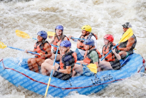 004837_RaftPics_June26_Los-Rios_Racecourse_TC_Michael_MG_3044