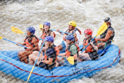 004838_RaftPics_June26_Los-Rios_Racecourse_TC_Michael_MG_3045