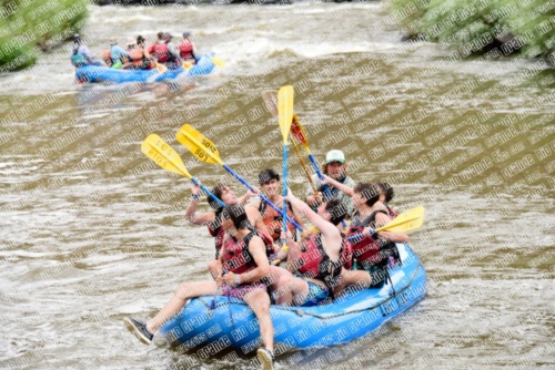 004903_RaftPics_June27_Los-Rios_Racecourse_TPM_LA_Abe_LES5173