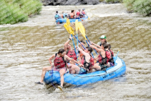 004904_RaftPics_June27_Los-Rios_Racecourse_TPM_LA_Abe_LES5174