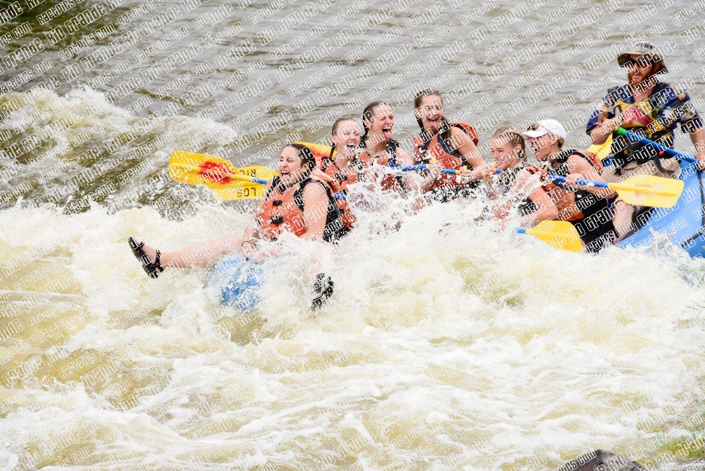 005004_RaftPics_June27_Los-Rios_Racecourse_PM_LA_Wade_LES5108