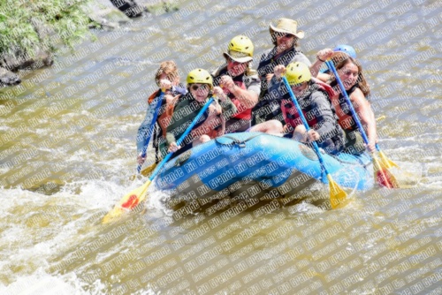 005257_RaftPics_June28_Los-Rios_Racecourse_AM_LA_Joe_LES5411