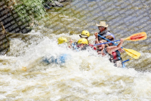 005260_RaftPics_June28_Los-Rios_Racecourse_AM_LA_Joe_LES5414