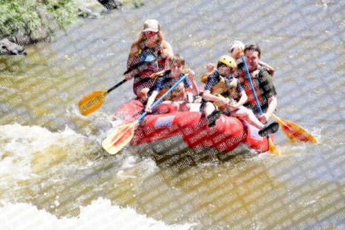 005314_RaftPics_June28_Los-Rios_Racecourse_AM_LA_Leslie_LES5433