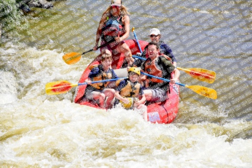 005316_RaftPics_June28_Los-Rios_Racecourse_AM_LA_Leslie_LES5435