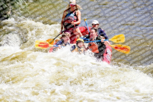 005317_RaftPics_June28_Los-Rios_Racecourse_AM_LA_Leslie_LES5436