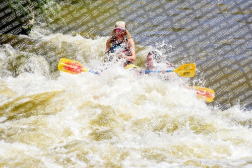 005318_RaftPics_June28_Los-Rios_Racecourse_AM_LA_Leslie_LES5437