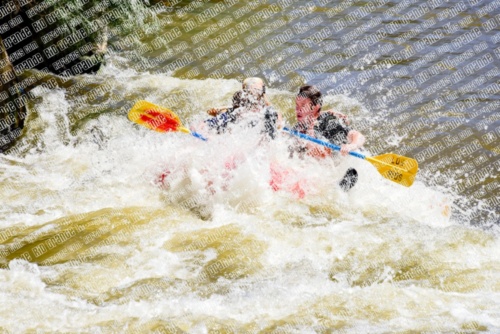 005319_RaftPics_June28_Los-Rios_Racecourse_AM_LA_Leslie_LES5438