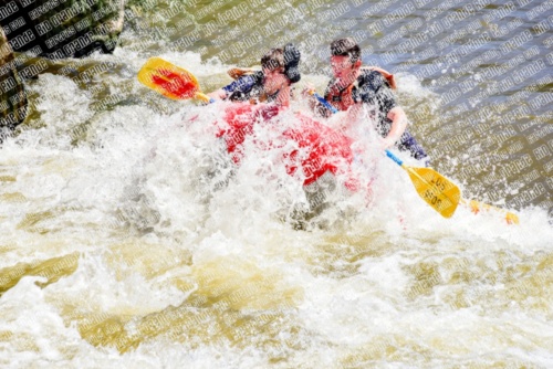 005320_RaftPics_June28_Los-Rios_Racecourse_AM_LA_Leslie_LES5439