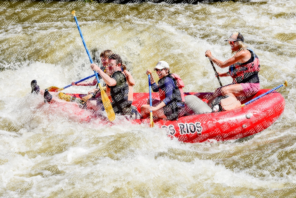 005333_RaftPics_June28_Los-Rios_Racecourse_AM_LA_Leslie_LES5452