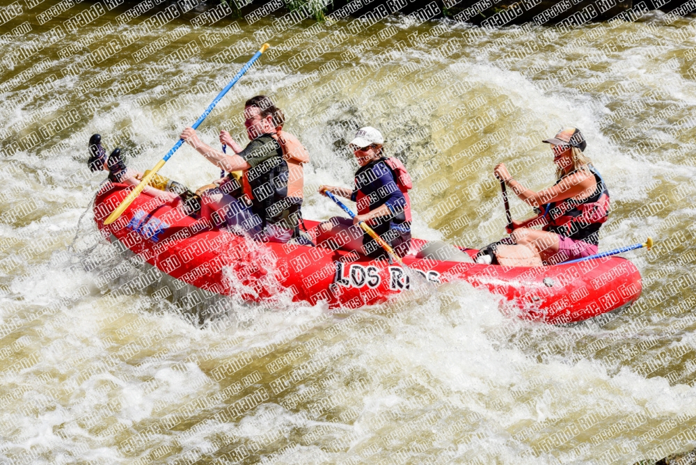 005335_RaftPics_June28_Los-Rios_Racecourse_AM_LA_Leslie_LES5454