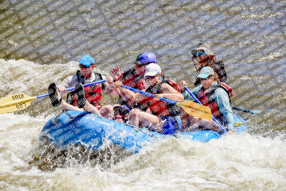 005389_RaftPics_June28_Los-Rios_Racecourse_AM_LA_Nate_LES5336