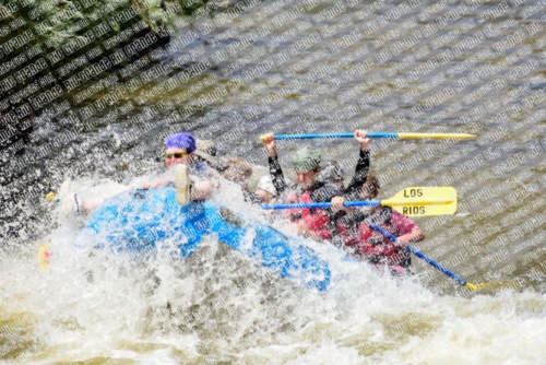 005568_RaftPics_June28_Los-Rios_Racecourse_PM_LA_Michael_LES5703