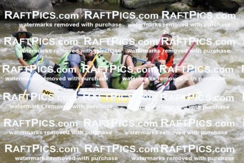 June_29_2024_BigRiver_Racecourse_am_Paris_TC_008591