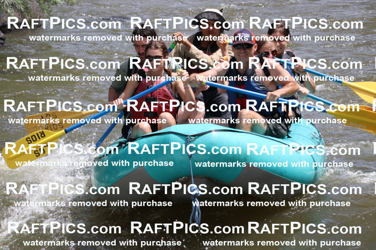 000746-July-1_Los-Rios_RAFT-Pics_Racecourse-AM_BS_JRaulIMG_9339