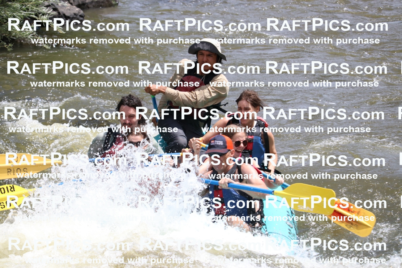 000750-July-1_Los-Rios_RAFT-Pics_Racecourse-AM_BS_JRaulIMG_9343