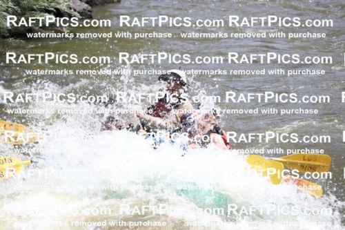 000751-July-1_Los-Rios_RAFT-Pics_Racecourse-AM_BS_JRaulIMG_9344