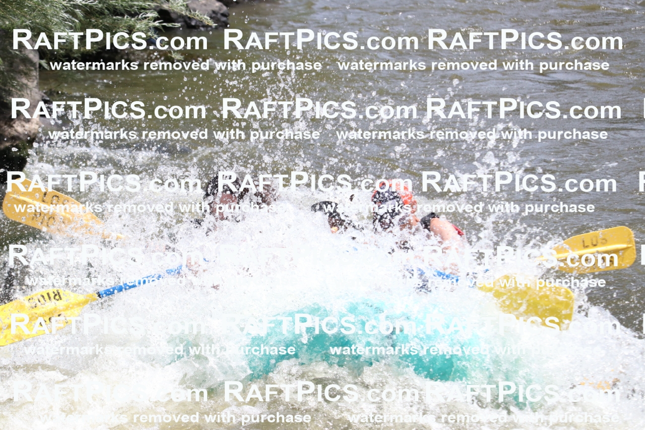 000752-July-1_Los-Rios_RAFT-Pics_Racecourse-AM_BS_JRaulIMG_9345